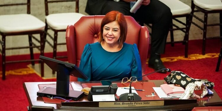 Senadora Brenda Pérez Soto busca investigar capacidad eléctrica en escuelas públicas