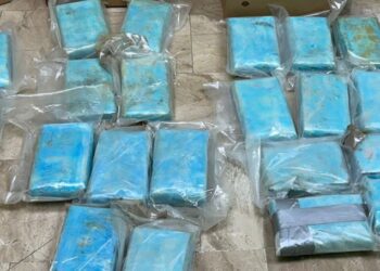 La DNCD frustra el envío a Alemania de 30 paquetes de cocaína