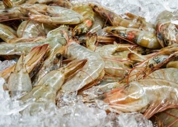 Retiro masivo en EE.UU. de camarones ‘radiactivos’: ¿qué está pasando?