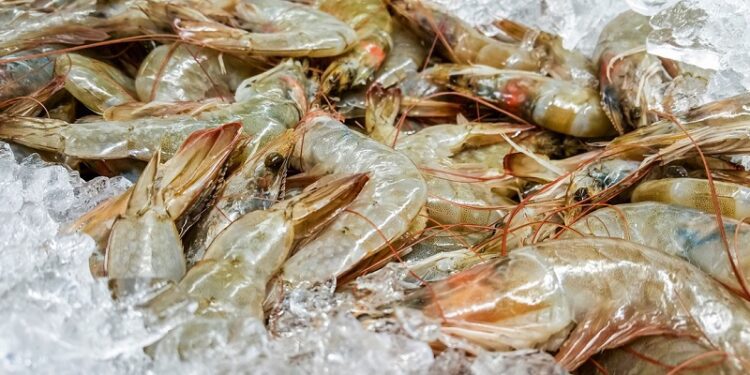 Retiro masivo en EE.UU. de camarones ‘radiactivos’: ¿qué está pasando?