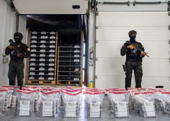 DNCD incauta 120 paquetes de cocaína ocultos en carga de bananos