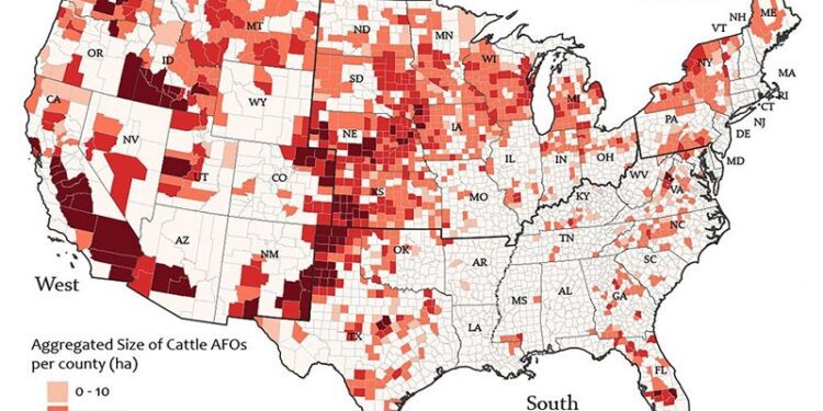 Más contaminación y menos seguro médico en condados con criaderos