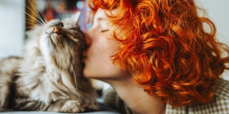 Un parásito de los gatos podría hacernos tomar malas decisiones