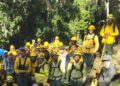 Medio Ambiente avanza en liquidación de incendio al norte del Parque Nacional Armando Bermúdez