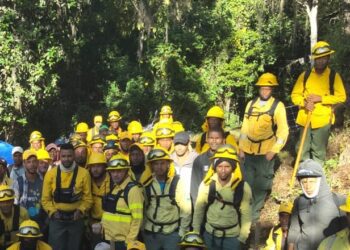 Medio Ambiente avanza en liquidación de incendio al norte del Parque Nacional Armando Bermúdez