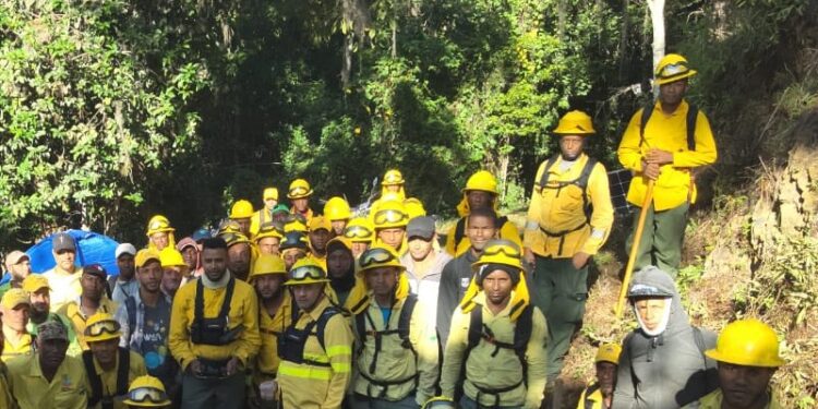 Medio Ambiente avanza en liquidación de incendio al norte del Parque Nacional Armando Bermúdez