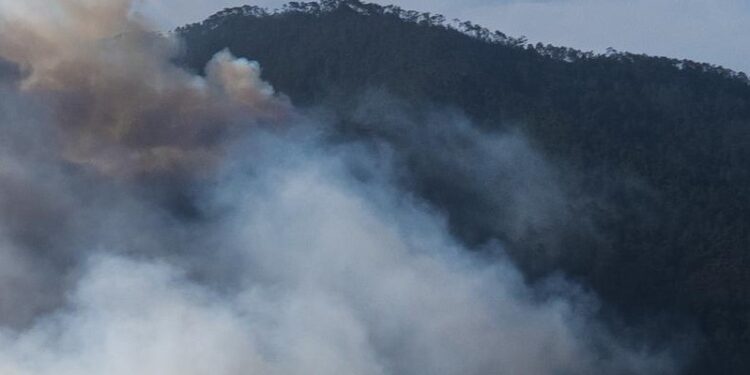Medio Ambiente continúa combatiendo incendio en el Parque Armando Bermúdez