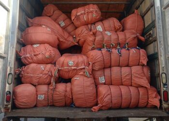 Ministerio Público incauta más de 70 mil útiles escolares falsificados