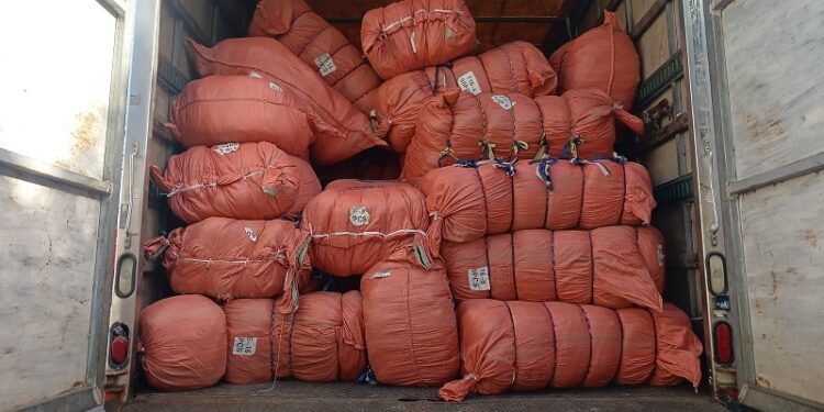 Ministerio Público incauta más de 70 mil útiles escolares falsificados