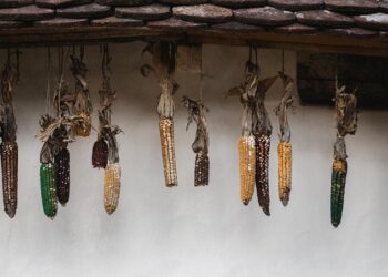 El índice de precios de los alimentos de la FAO se mantiene prácticamente sin variaciones en agosto