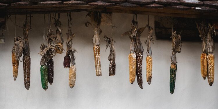 El índice de precios de los alimentos de la FAO se mantiene prácticamente sin variaciones en agosto