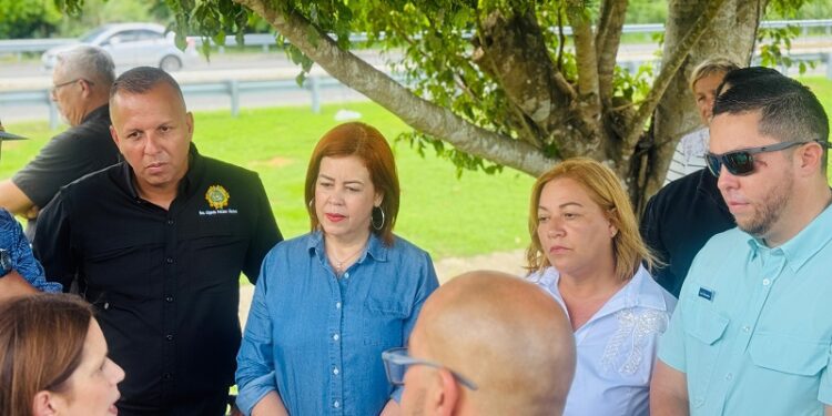 Senado investiga peligros en la PR-137 en Vega Baja y Morovis