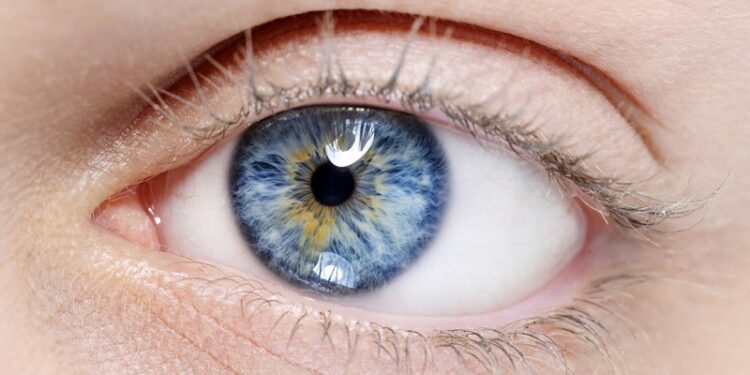 Tus ojos no son del color que crees: este es el secreto detrás del azul, verde y avellana