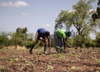 No se preocupe… ¡o sí!