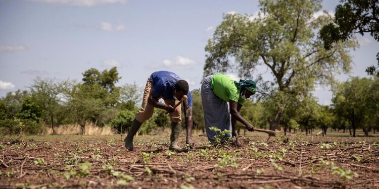 No se preocupe… ¡o sí!