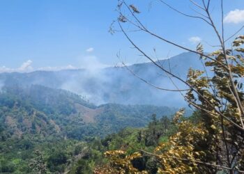 Ministerio de Medio Ambiente combate incendios forestales en Jánico y Barahona