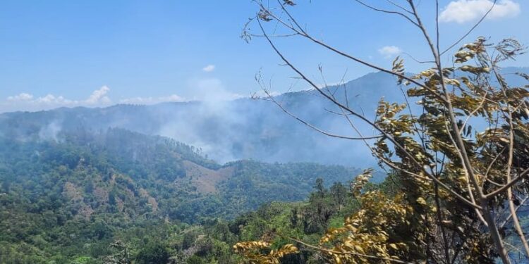 Ministerio de Medio Ambiente combate incendios forestales en Jánico y Barahona