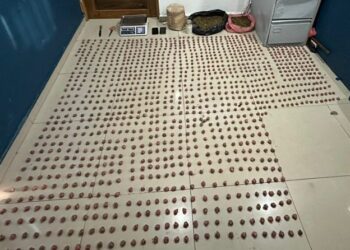 DINTEl y Ministerio Público ocupan más de 7 mil gramos de marihuana