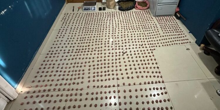 DINTEl y Ministerio Público ocupan más de 7 mil gramos de marihuana