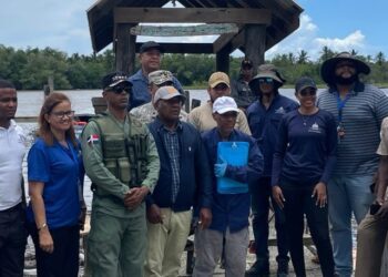 Medio Ambiente investiga mortandad de peces en el río Soco