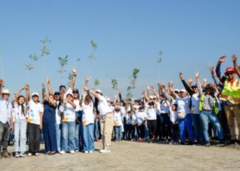 Voluntariado Banreservas siembra 1,500 caobas criollas en Navarrete