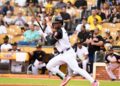 Águilas Cibaeñas blanquean al Licey 4 por 0 en el Estadio Cibao
