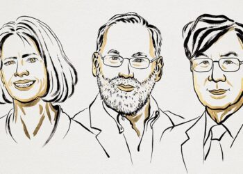 Anuncian el premio Nobel de Medicina 2025