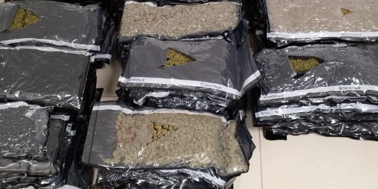 Capturan a un hombre vinculado a un alijo de marihuana decomisado en el aeropuerto del Cibao