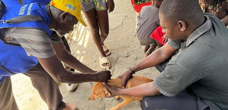Haití combate la rabia con vacunas y vigilancia
