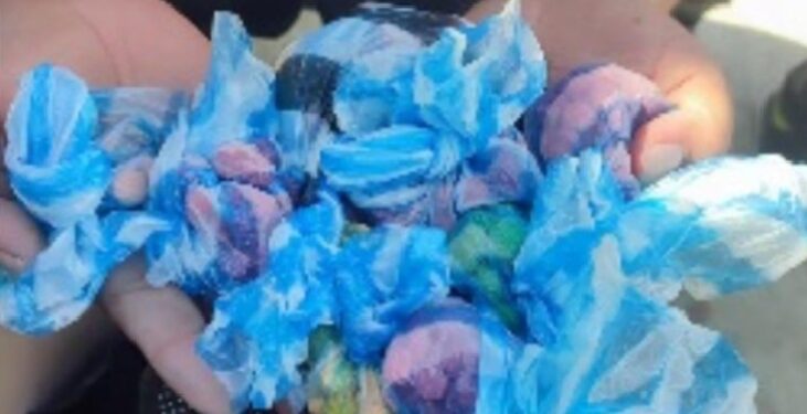 Desmantelan dedicada a la falsificación y distribución de medicamentos en Santiago y Espaillat