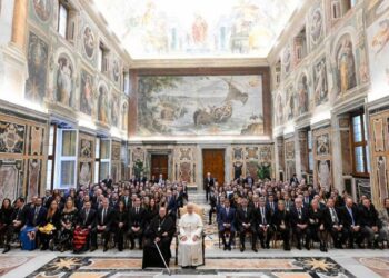 El Papa alerta sobre el riesgo de que la IA «deshumanice» la salud