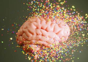 El cerebro puede cambiar drásticamente 5 veces en la vida y esto le pasa en cada etapa