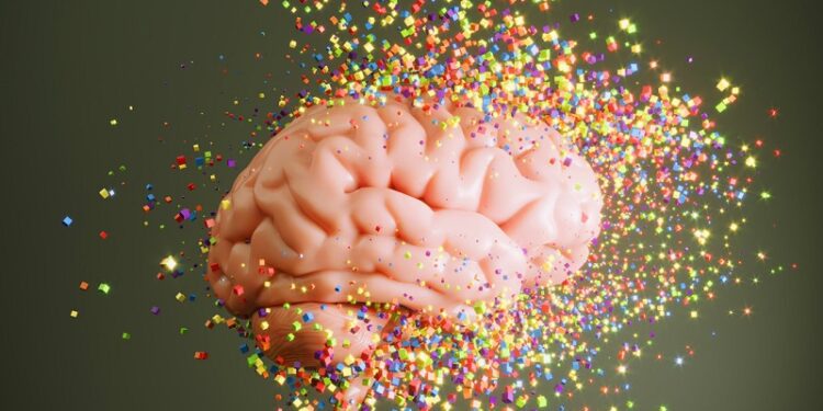 El cerebro puede cambiar drásticamente 5 veces en la vida y esto le pasa en cada etapa