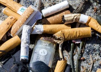 Nuevos avances en la lucha antitabaco y su impacto ambiental