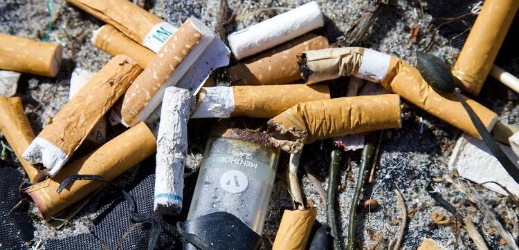 Nuevos avances en la lucha antitabaco y su impacto ambiental