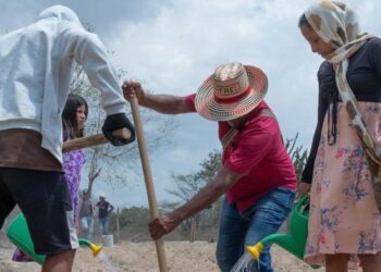 Los desastres causan pérdidas agrícolas globales por 3,26 billones de dólares en tres décadas