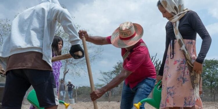 Los desastres causan pérdidas agrícolas globales por 3,26 billones de dólares en tres décadas