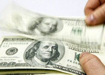 «Lo que están haciendo los peces gordos»: Kim Dotcom da un consejo sobre los dólares y el oro