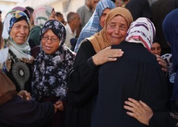 El Papa: los muertos en la guerra se honran con el alto el fuego y con el compromiso por la paz