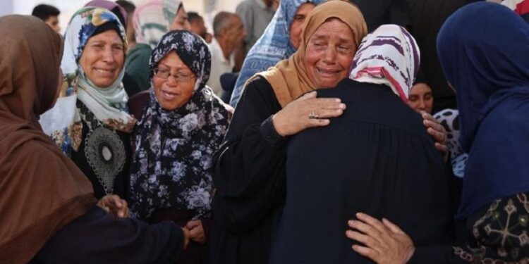 El Papa: los muertos en la guerra se honran con el alto el fuego y con el compromiso por la paz