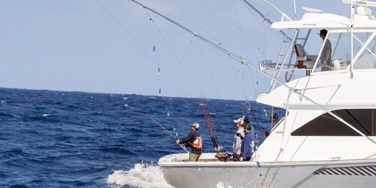 Ascienden a 70 las agujas azules soltadas en el Torneo Internacional del Club Náutico de San Juan