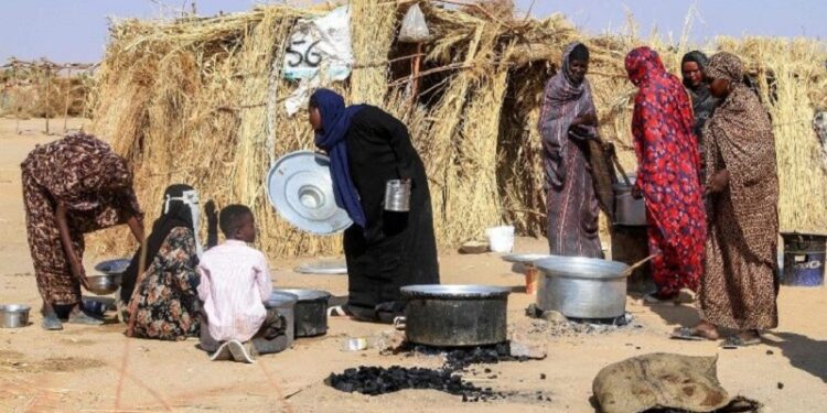 El Papa: No podemos acostumbrarnos a la guerra