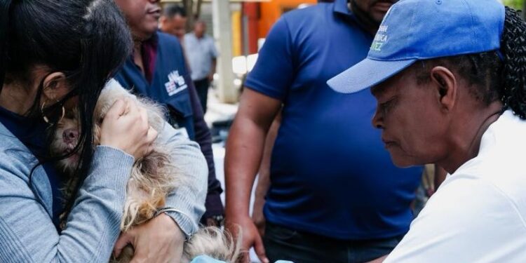Ministerio de Salud anuncia Jornada Nacional de Vacunación Antirrábica gratuita