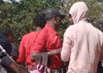 Ejército detuvo a más de 11,000 haitianos indocumentados en noviembre 