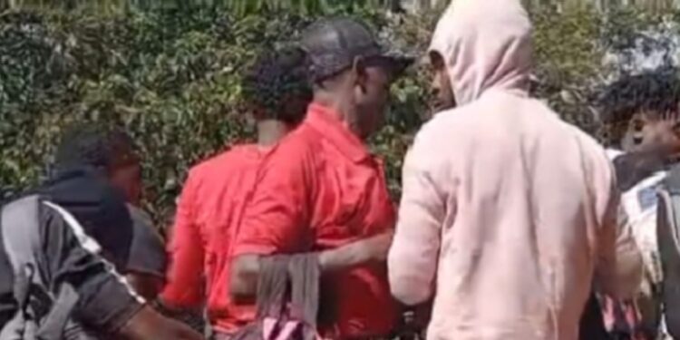 Ejército detuvo a más de 11,000 haitianos indocumentados en noviembre 