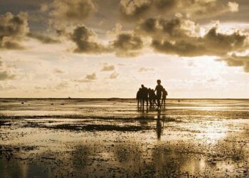 El fenómeno de enfriamiento de La Niña será débil y breve