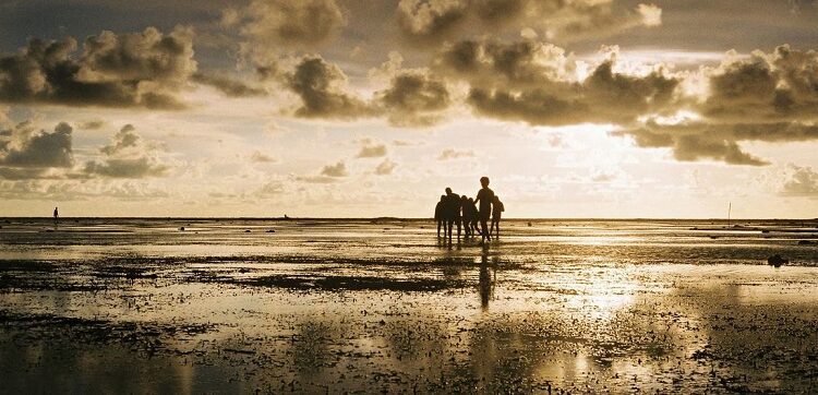 El fenómeno de enfriamiento de La Niña será débil y breve