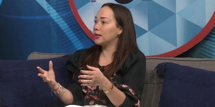 Participación Ciudadana: todos los partidos están en campaña electoral