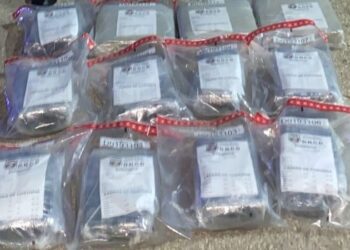 Autoridades interceptan 78 libras de marihuana en la provincia San Juan