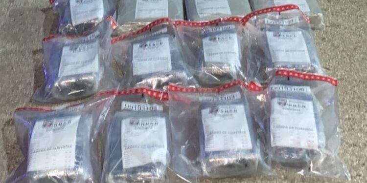 Autoridades interceptan 78 libras de marihuana en la provincia San Juan
